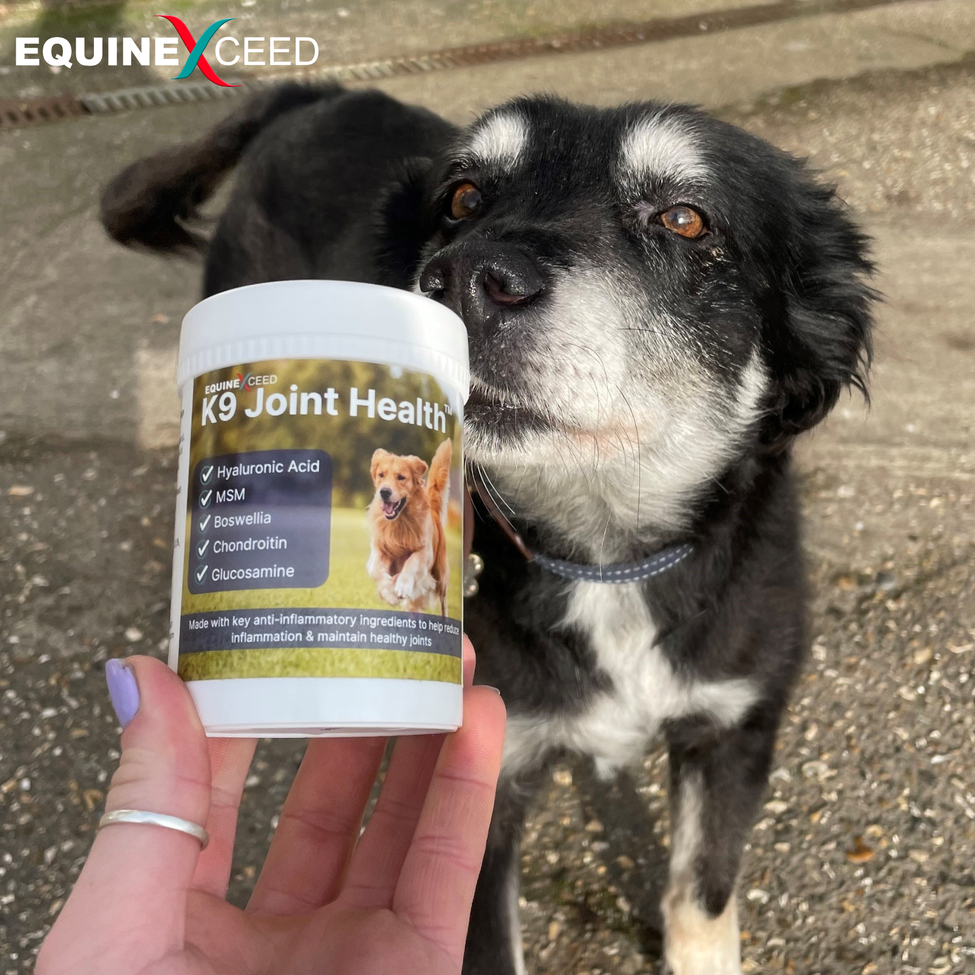 K9 Joint Health™