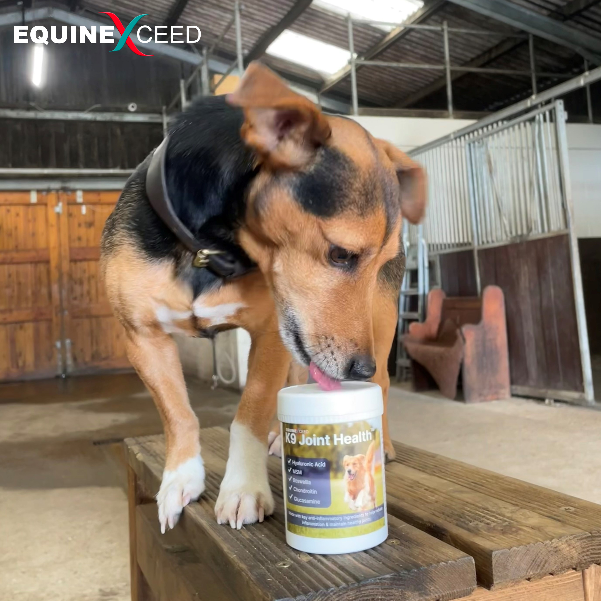 K9 Joint Health™