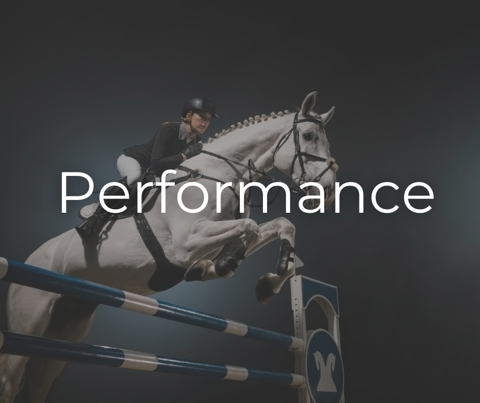 equine-exceed-performance